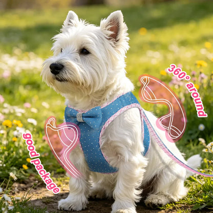 Denim Delight Mesh Harness & Leash Set - Fashionable Comfort for Small Breeds
