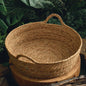 Breezy Rattan Retreat – Cool Weave Basket Bed for Cats and Small Dogs